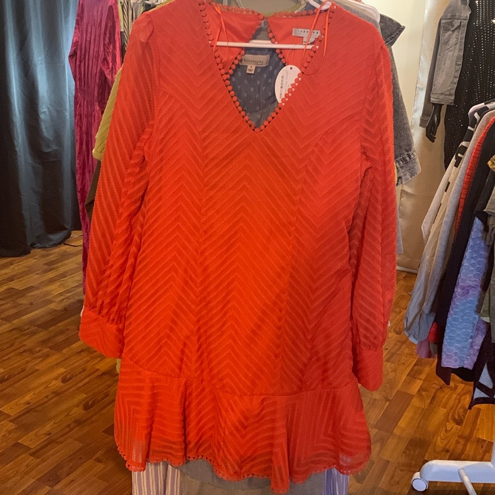 Bright Orange V-Neck Long Sleeve Dress